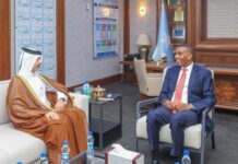 Somali PM Meets Qatari Ambassador, Extends Condolences Over Deadly Egypt Crash