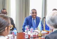 Somali PM Meets EU Envoy in Egypt to Discuss Security and Political Progress