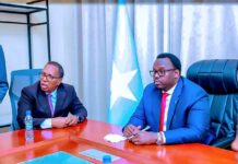 Somalia’s Deputy Prime Minister Inspects Ministry of Public Works Projects in Mogadishu