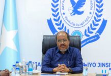 Somali president inspects Immigration and Citizenship Agency headquarters in Mogadishu