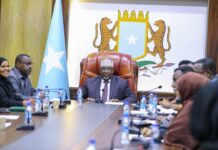 Guddoomiyaha Golaha Shacabka oo shir guddoomiyey kulanka Guddiga Joogtada ah ee Baarlamaanka Federaalka Soomaaliya