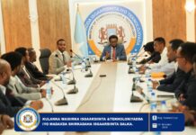Somali Communications Minister Meets Telecom Executives to Discuss Improving Services