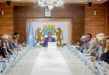Somali cabinet approves 2026 budget and international cooperation deals