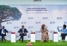 Ethiopia and Somalia Reaffirm Commitment to Regional Peace and Cooperation at Tana Forum