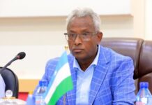 Puntland and Somaliland to Launch Joint Security Operations Against ISIS and Pirates