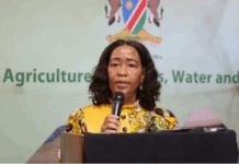 Namibia embarks on 5-year plan to combat climate change, food insecurity