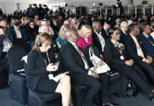 G20 Parliamentary Speakers’ Summit opens in South Africa with focus on parliamentary diplomacy