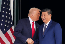Xi says ready to work with Trump to build solid foundation for bilateral ties