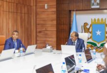 Somali President Praises PM Hamza’s Government Achievements