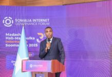 Somalia PM urges stronger internet governance at national forum