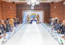 Somalia’s Cabinet discusses security, cultural cooperation and law enforcement
