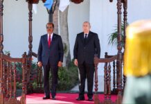 Somali President Meets with Algerian Counterpart Tebboune During Official Visit