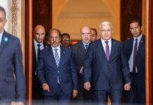 Somali President Hassan Sheikh Receives Warm Welcome in Algeria