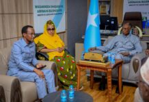 Somalia’s new Labour Minister Meets Civil Service Committee to Boost Government Workforce