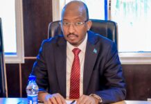 Somalia and Turkey strengthen cooperation in fisheries and blue economy
