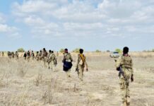 Somali Army Launches Major Operations Against Al-Shabaab in Lower Juba