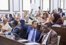 Somali parliament passes national payment system bill, debates sexual offences draft law