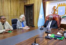 Somali parliamentary speaker, EU envoy discuss stronger cooperation on governance reforms