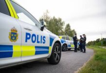 Swedish-Syrian charged over attempt to travel to Somalia to join Islamic State