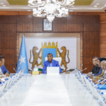 Somali Cabinet Approves Third-Generation E-Passport Plan, Reviews Security and Economic Developments