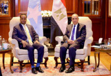 Somalia, Egypt seek deeper cooperation on security and regional stability