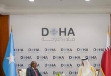 Somalia’s President Meets Qatar Emir to Discuss Bilateral Cooperation