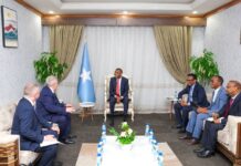 Somalia PM meets Russian envoy as diplomatic outreach continues