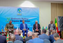 Somalia PM closes East Africa defence chiefs meeting in Mogadishu