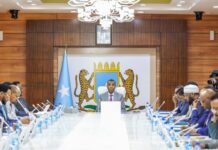 Somalia Cabinet Discusses Local Elections, Approves Key Laws and Education Fund