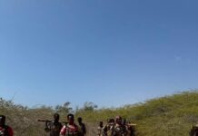 Somali forces thwart Al-Shabaab infiltration in Lower Shabelle