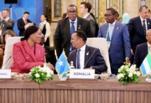 Somalia backs multilateral cooperation at Russia–Africa forum in Cairo