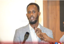 Jubaland minister calls for stronger federal control ahead of opposition summit