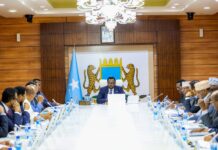 Somalia scraps UAE deals over sovereignty concerns