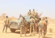 SNA, Allies Kill 17 Al-Shabaab Militants in Middle Shabelle Air Operation