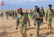Puntland forces capture strategic ISIS bases in Al-Miskaad mountains