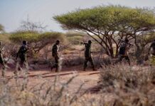 Ciidamada Dowladda iyo Macawiisleyda Oo Howlgallo Ka Wada Bariga Hiiraan