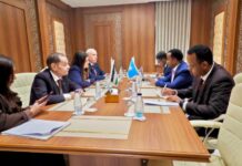 Somalia, Palestine reject ‘illegal’ Israeli recognition of Somaliland