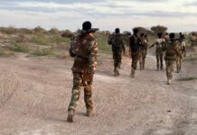 Ciidanka Xoogga Dalka oo fashiliyey weerar Al-Shabaab ku Shabeellaha Dhexe