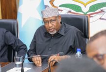 Guddoonka Baarlamaanka Soomaaliya oo La Kulmay Guddiyada Dib-u-eegista Dastuurka