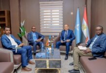 Somalia, Egypt strengthen disaster management cooperation
