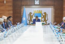 Somalia appoints new army chief, approves anti-smuggling ministerial committee