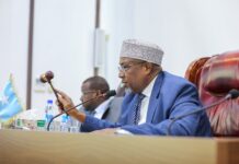 Golaha Shacabka BJFS oo Ansixiyay Hindise-sharciyeedka Amniga Saybarka Soomaaliya