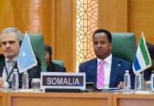 Somalia urges OIC action over alleged Israeli violation of its sovereignty