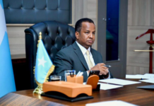 Somalia rejects ‘external pressure’ over Palestinian displacement