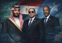 Saudi Arabia in Talks With Egypt, Somalia on Military Coalition