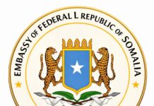 Somalia Embassy in Egypt Denies Reports of Visa Suspension for Somali Citizens