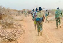 Somali Forces Kill Al-Shabaab Operatives in Hiiraan in Targeted Operation