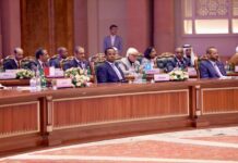 Somalia Participates in India-Arab Summit, Highlights Economic Diplomacy