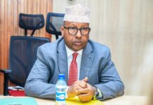 Wasiirka Gaashaandhigga Soomaaliya oo Kulan la Qaatay Safiirka Midowga Yurub ee Soomaaliya