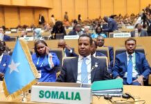 Wasiirka Arrimaha Dibadda Soomaaliya oo Ka Qaybgalay Kal-fadhiga 48aad ee Golaha Fulinta Midowga Afrika